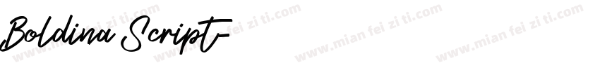 Boldina Script字体转换